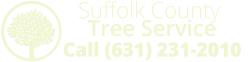 suffolk tree services